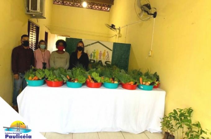 Assistência social e Casa da Agricultura realiza entrega de verduras, legumes e mudas de árvores